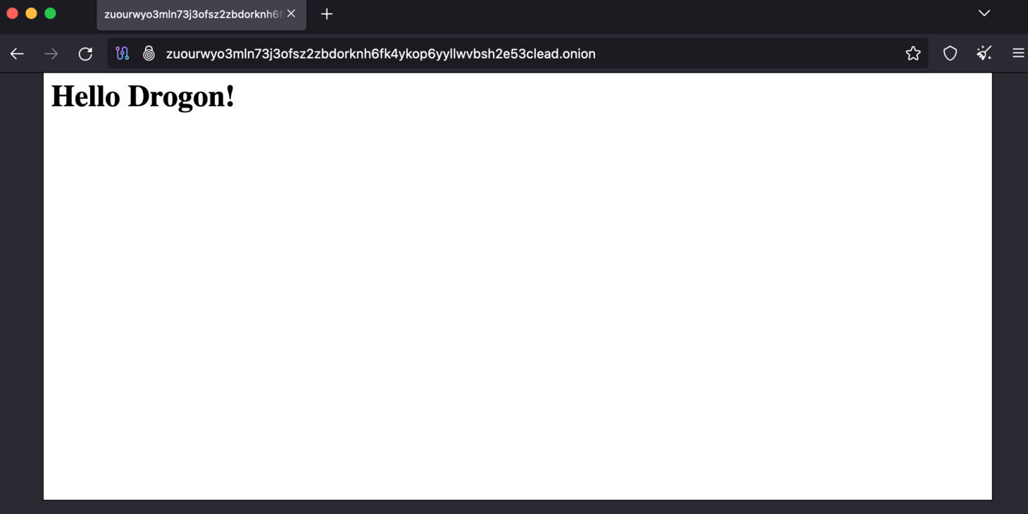 Open the Tor browser, and enter your onion service URL. Your onion service, with C++ Drogon web framework is configured successfully.
